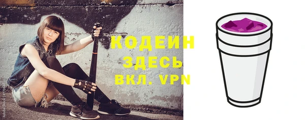 хмурый Инсар