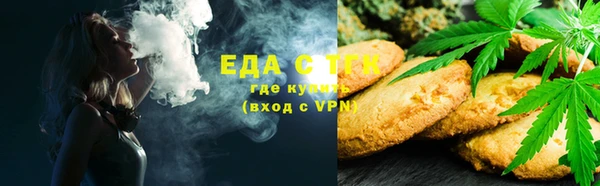 дмт Каменка