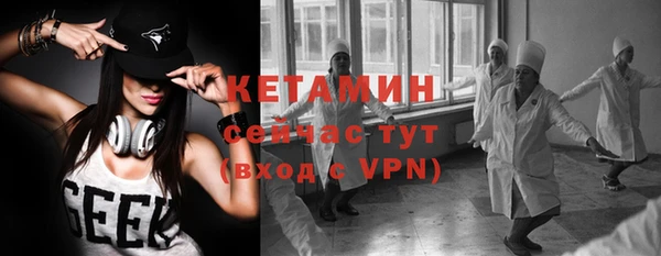 дмт Каменка
