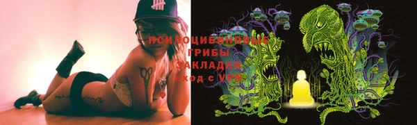 ECSTASY Грязовец
