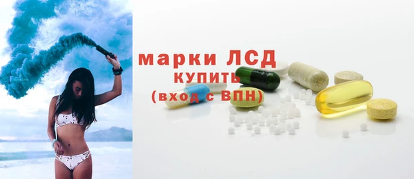 шишки Губаха