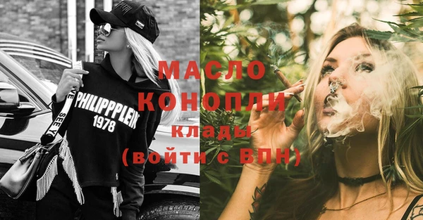 дмт Каменка