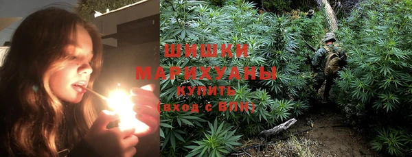 дмт Каменка