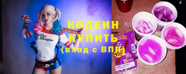 дмт Каменка