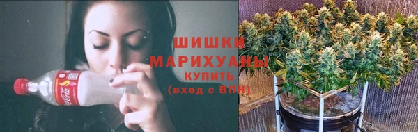 прущие крисы Инта