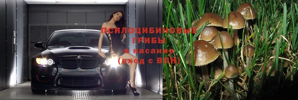 альфа пвп Каменногорск