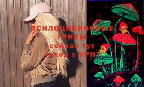 прущая мука Иннополис